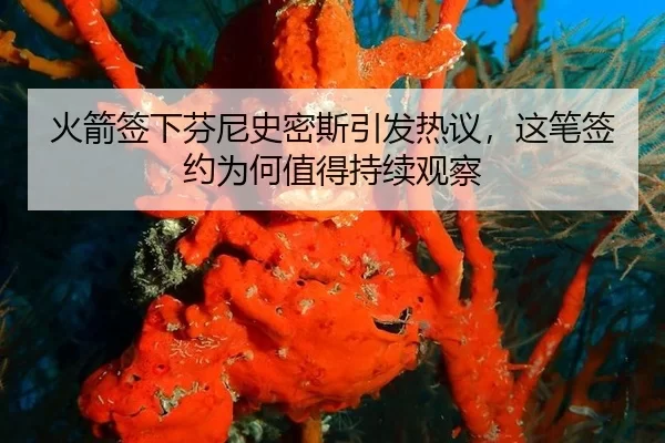 火箭签下芬尼史密斯引发热议，这笔签约为何值得持续观察